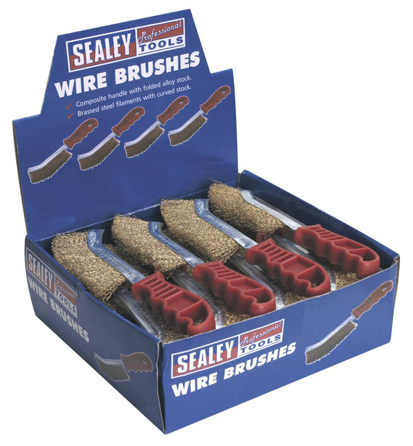 Wire Brush Brassed Steel Plastic Handle Display Box of 24