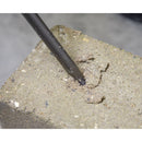 Sealey Worksafe&reg; SDS Plus Drill Bit & Chisel Set 13pc WDCS