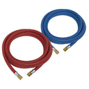 Sealey Oxy Acetylene Welding Hose Set 5m WH05