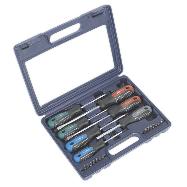 Sealey AK5043 Screwdriver Set with Carry-Case 21pc PowerMAX&reg;