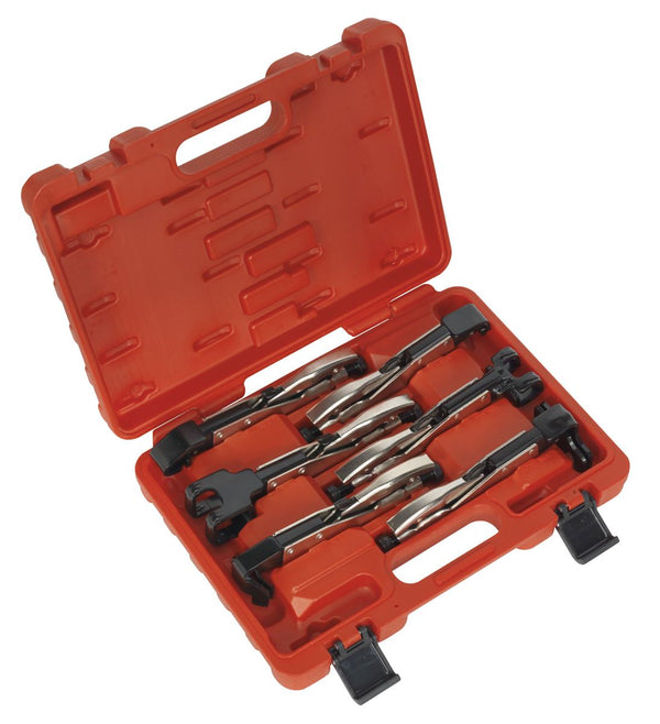 Sealey Premier Axial Locking Grip Set 6pc AK68403