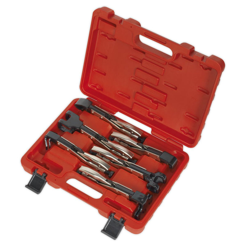 Sealey Premier Axial Locking Grip Set 6pc AK68403