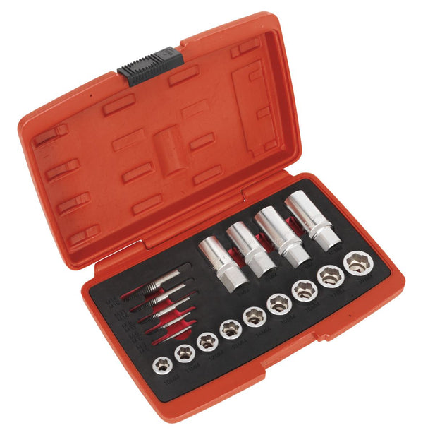 Sealey Premier Bolt, Stud & Screw Extractor Set 18pc AK751
