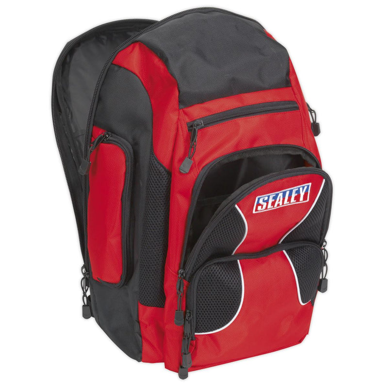 Sealey Backpack Heavy-Duty 480mm AP517