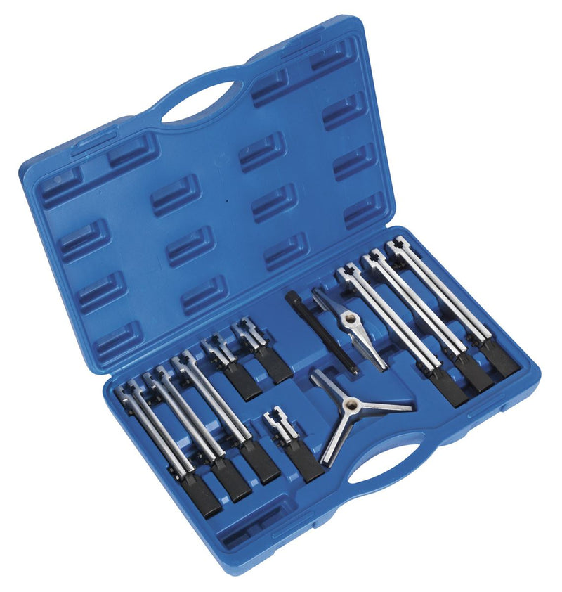 Sealey Bearing & Gear Puller Set 12pc PS900