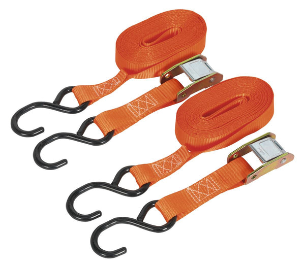 Sealey Cam Buckle Tie Down 25mm x 5m Polyester Webbing with S-Hooks 250kg Breaking Strength TD2550CS